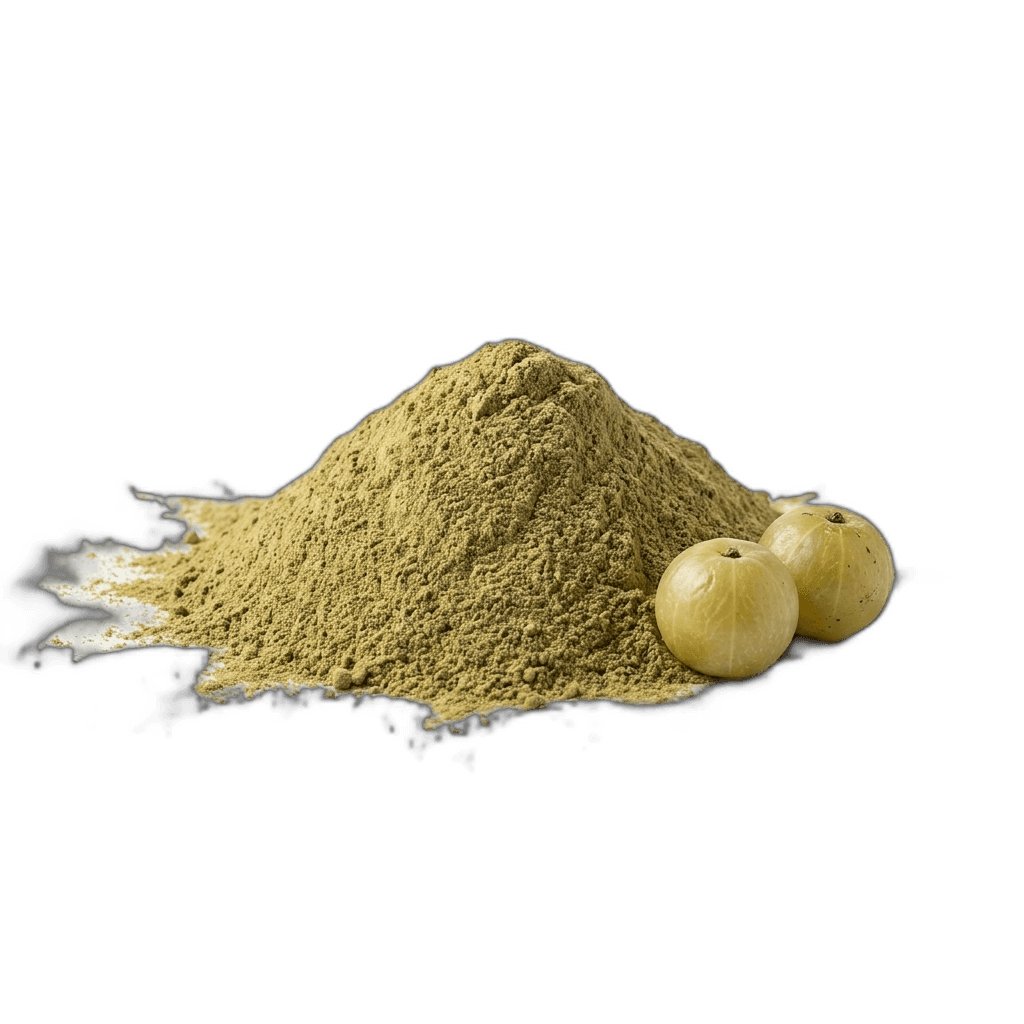 Amla Powder