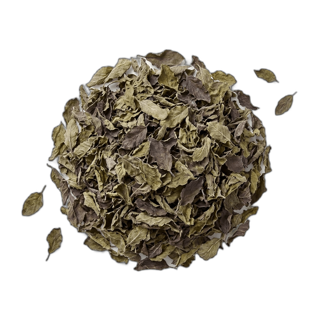 Tulsi Tea